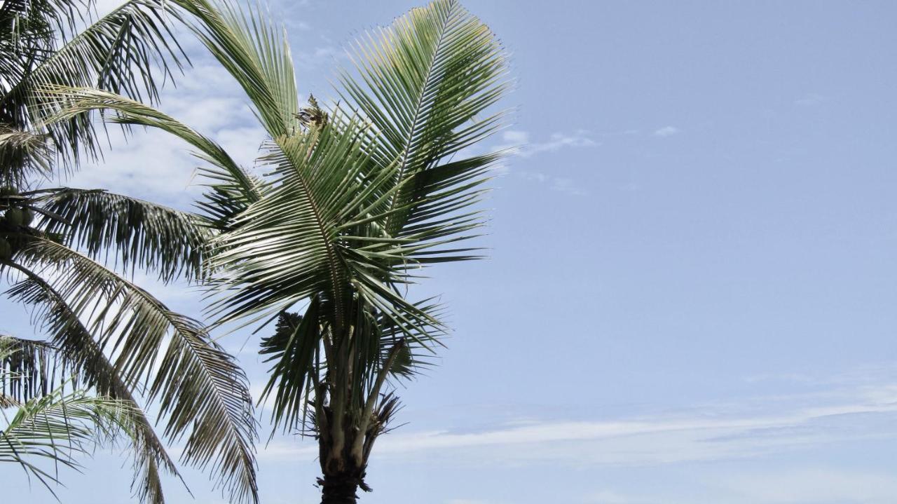 Dikaloha Surfschool And Stay Airsatang المظهر الخارجي الصورة