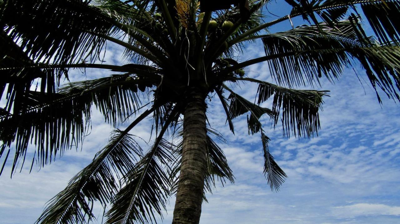 Dikaloha Surfschool And Stay Airsatang المظهر الخارجي الصورة