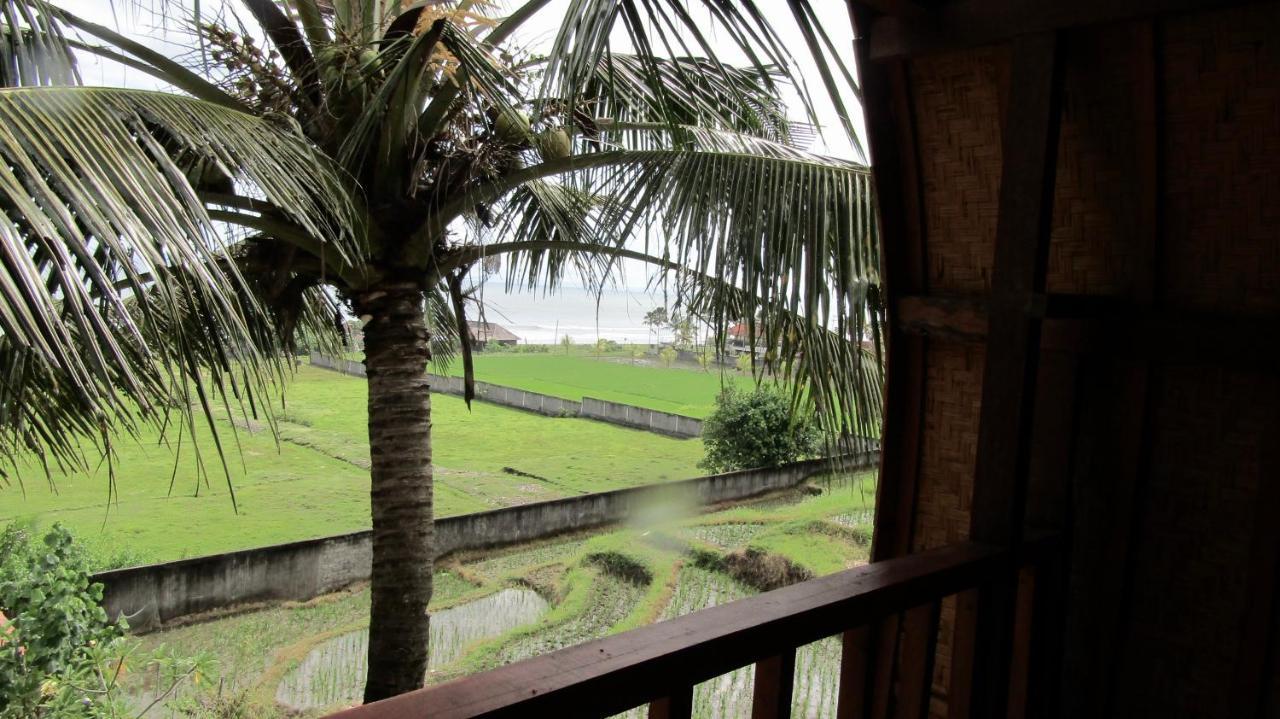 Dikaloha Surfschool And Stay Airsatang المظهر الخارجي الصورة