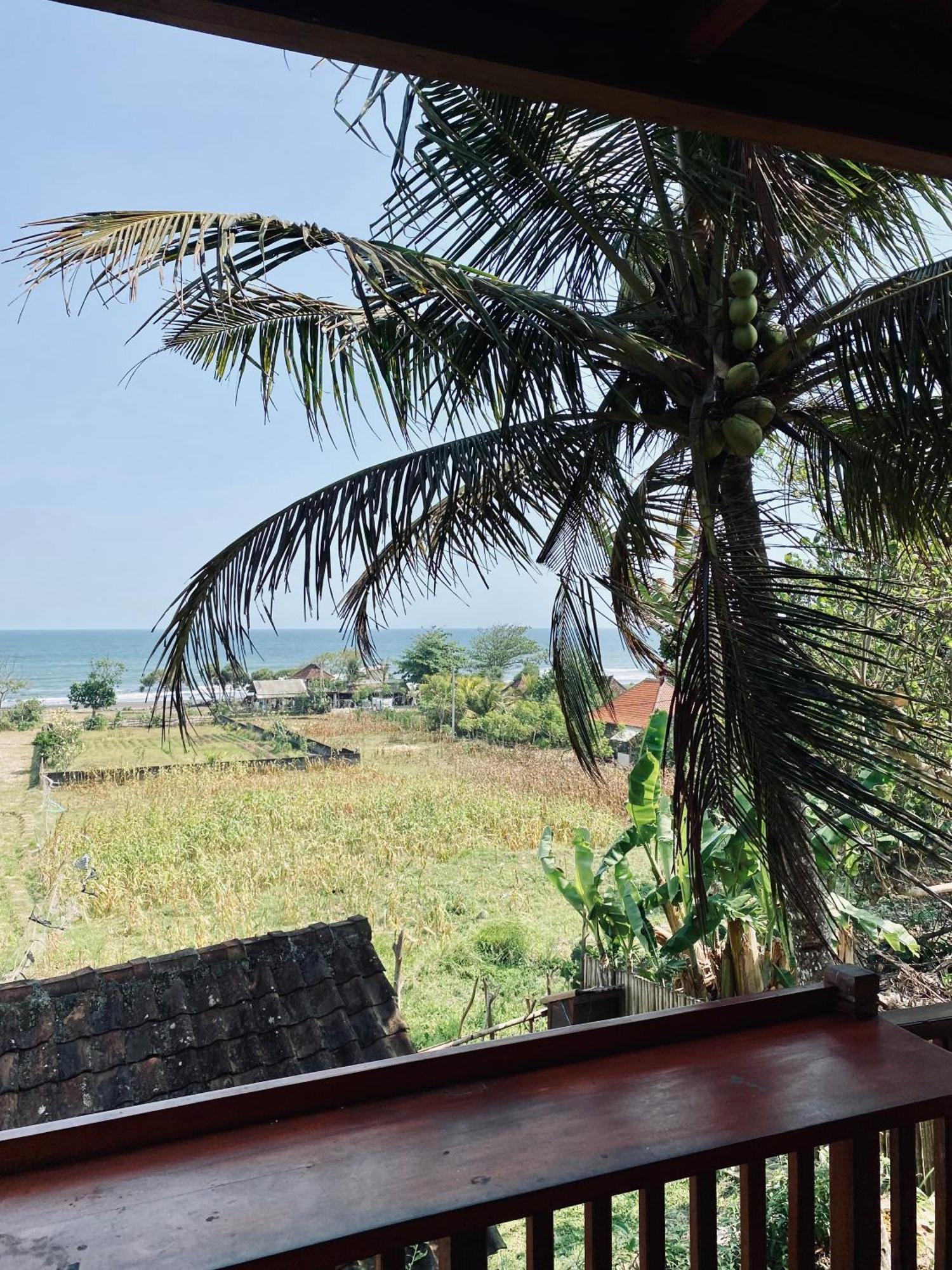 Dikaloha Surfschool And Stay Airsatang المظهر الخارجي الصورة
